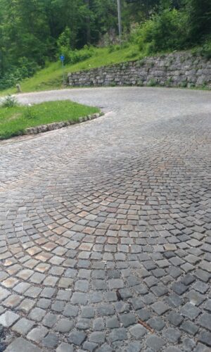 P_20210705_134544_vHDR_On